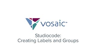 Celebrity Studiocode Tutorials | 6.1 Labels & Groups - Creating Labels and Groups Profile