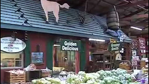 Fall Means Apple Season In North Georgia