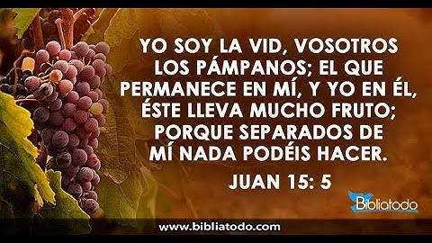 Jesús la vid verdadera – Juan 15; 1 – 27.
