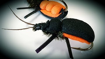 Foam Beetle