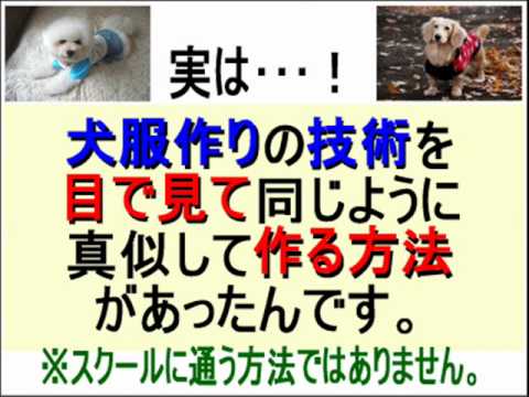 犬服の作り方 自宅で簡単マスター 手作り犬服dvd Youtube