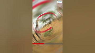 The carbon cycle | Where does all carbon go? |  Letstute #shorts #nature