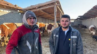 DAILY WORKS AT THE CELIK CIFTLIGI / FARM VISIT