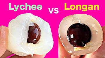 Lychee vs longan : How are they different?
