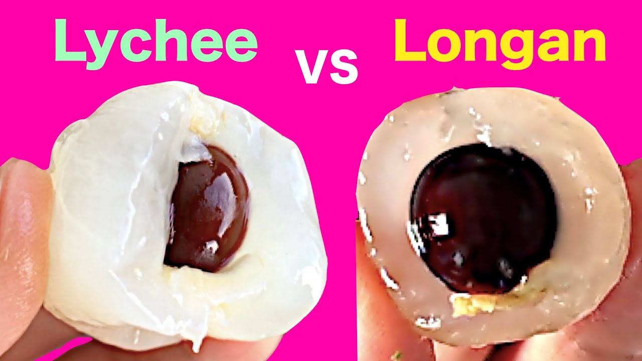Lychee vs longan : How are they different?