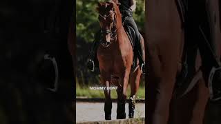 .Official My 2Nd Entry Also My Last