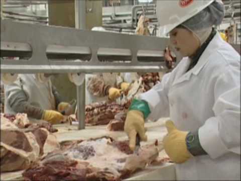 Tyson Foods/ UFCW Ergonomics Improvement.wmv