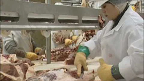 Tyson Foods/ UFCW Ergonomics Improvement.wmv