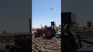 Red horse 🐎 #shortvideo #farming #vlogvideo