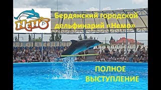 Дрессированные дельфины Полное представление  Бердянский городской дельфинарий «Немо»