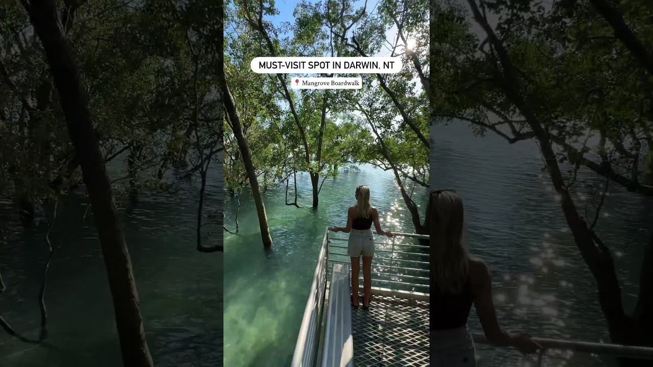 Add the Mangrove Boardwalk to your 