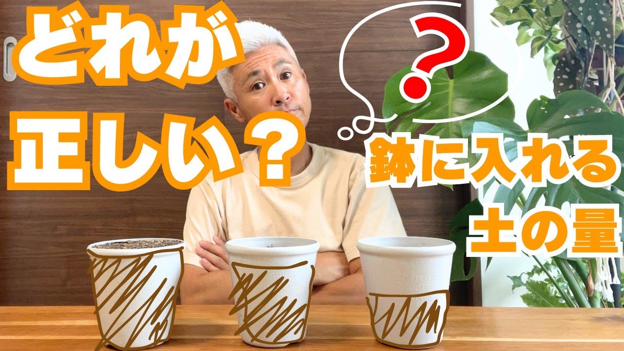 Which is the correct answer? The amount of soil to put in the pot