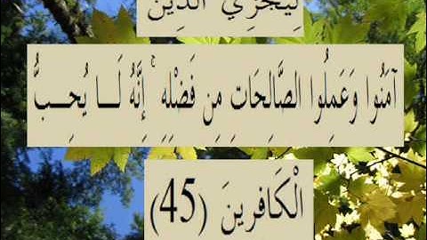 القران الكريم سورة الروم الأية 45.wmv