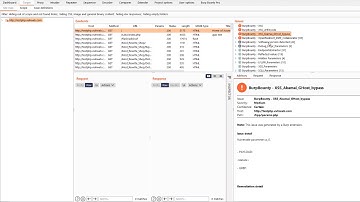 Burp Bounty Pro -  Two Basic Scan Methods