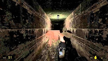 Vector And Monkey Play: Garry