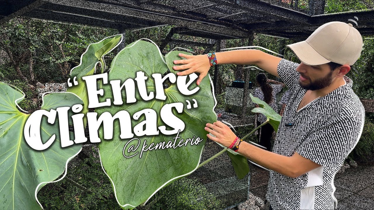 Un Viaje de Climas: Del Seco al Húmedo en un Solo Jardín