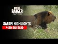 Safari Highlights #460: 11 - 16 February 2017 | Sabi Sand Wildtuin | Latest Wildlife Sightings