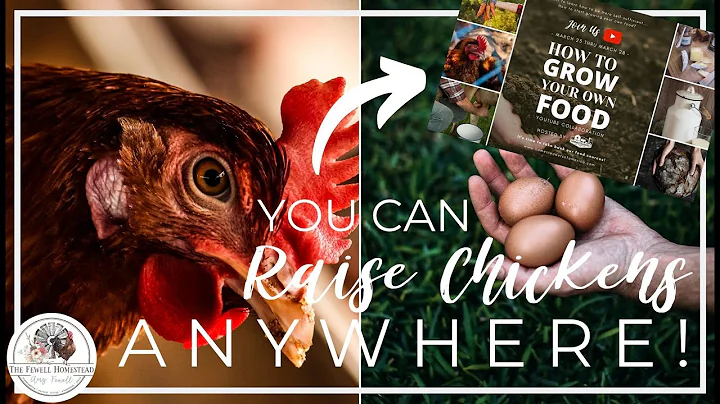 You Can Raise Chickens ANYWHERE! | How to GROW You...