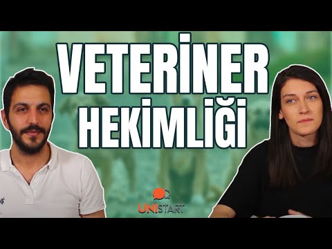 Video: Köpeklerde Giardia Nedir?