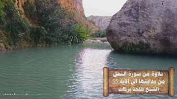 تلاوة من سورة النحل || الشيخ طلحة بركات ||