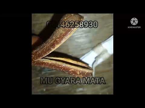 Mallaka Da Daidaita Tsakaninmu Da Mijinki Da Wannan Sirrin