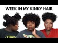 more than a WEEK IN MY ROD SET (super realistic) | PRESERVE FLEXI RODS, PERM RODS + ROLLER SETS