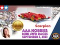 Tamiya Mini 4WD Gold Place AAA Hobbies Box Stock Race - September 3, 2023