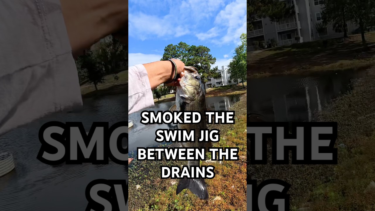 3-Pound Bass Crushes the Swim Jig Between Drains! (Dirty Jigs + Rage Craw Setup)