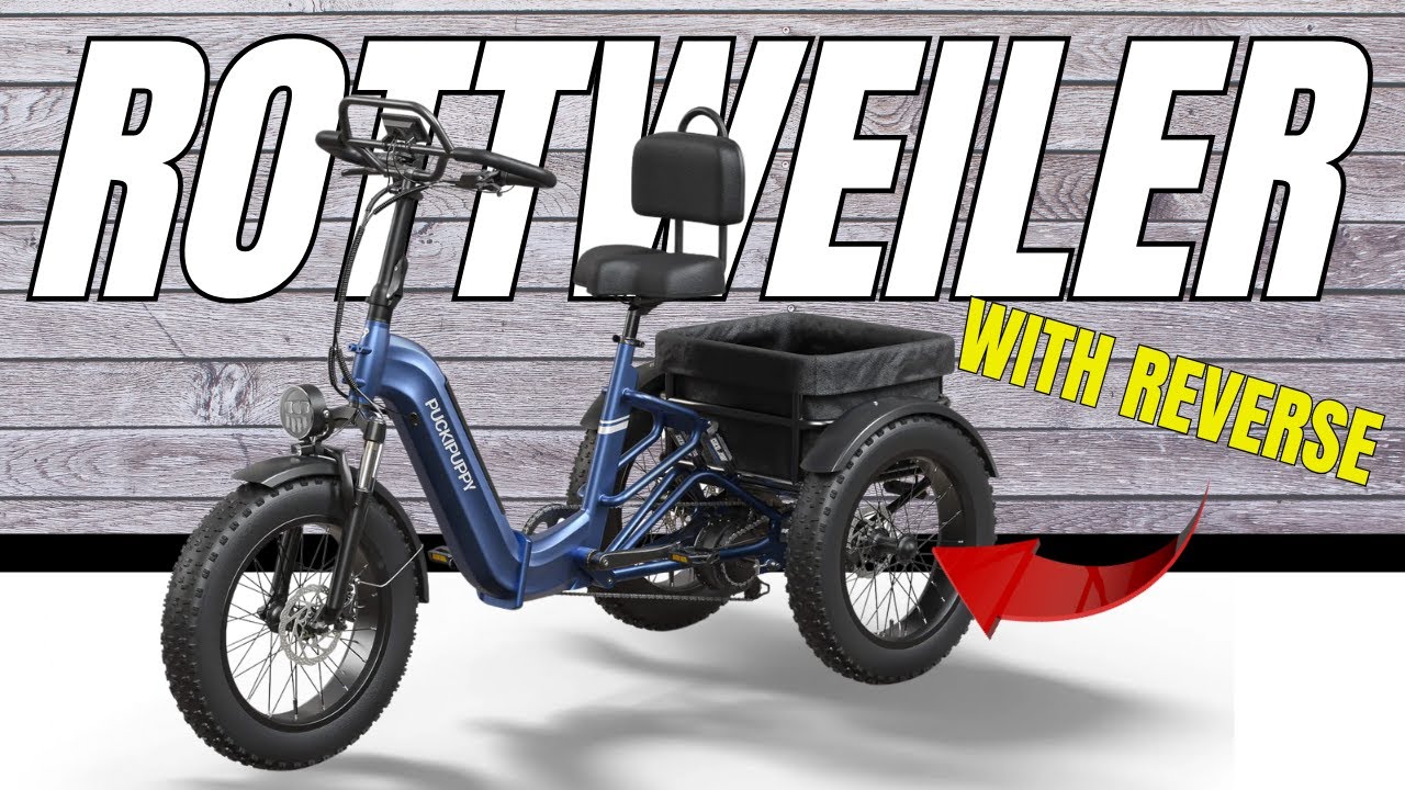 ВСЕ НОВОЕ!!!! Puckipuppy Rottweiler Etrike - Полная подвеска и реверс