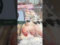 BANGUS & TALIPIA SEAFOOD CITY MARKET #viral #fresh #fish #nice #youtubeshorts