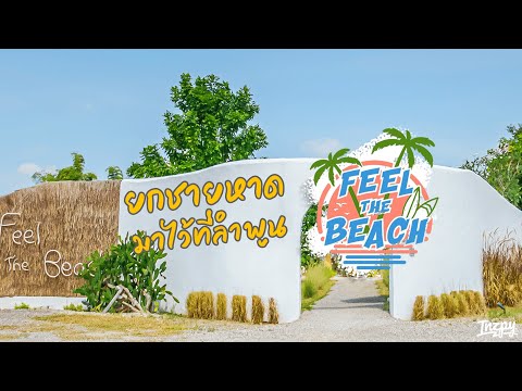 feel the beach..คาเฟ่เมืองลำพูน ค่าเฟ่สุดแปลกแหวกแนว