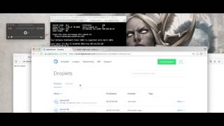 Screencast Milestone 3