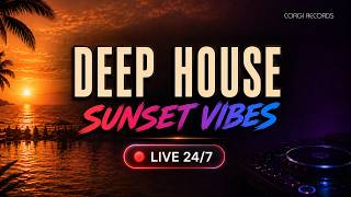 24/7 🎧 House Music Radio · Deep, Chill & Groovy (Corgi Records) screenshot 2