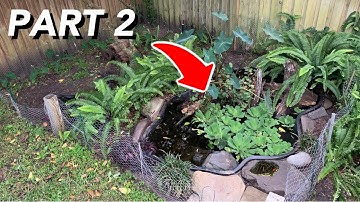 Part 2: Cleaning out the turtle enclosure!