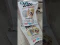 No More Jamming! Mini Premade Pouch Packing Machine with Tilting Hopper #DoypackMachine #SaveLabor