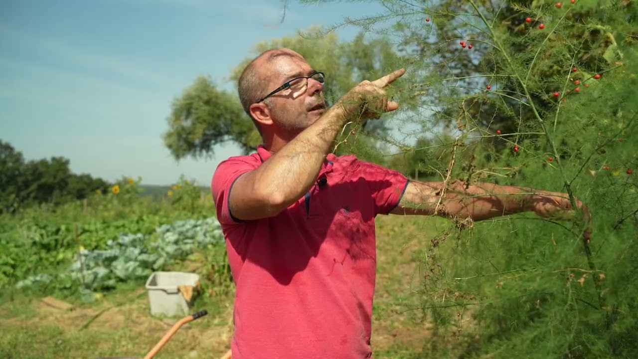 Tajna mog vrta ep. 138 22.09.2023. Košenje, kompost, špargle