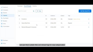 Kaleyra Voice - Demo Series | 06 | Sound Manager screenshot 4