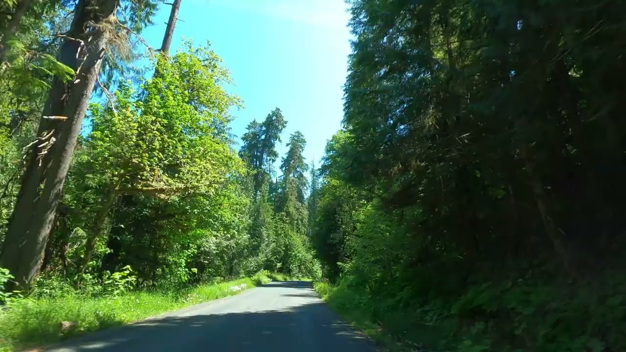 Randle to Trout Lake, Washington | National Forest Road 23 | Exploring the Backcountry