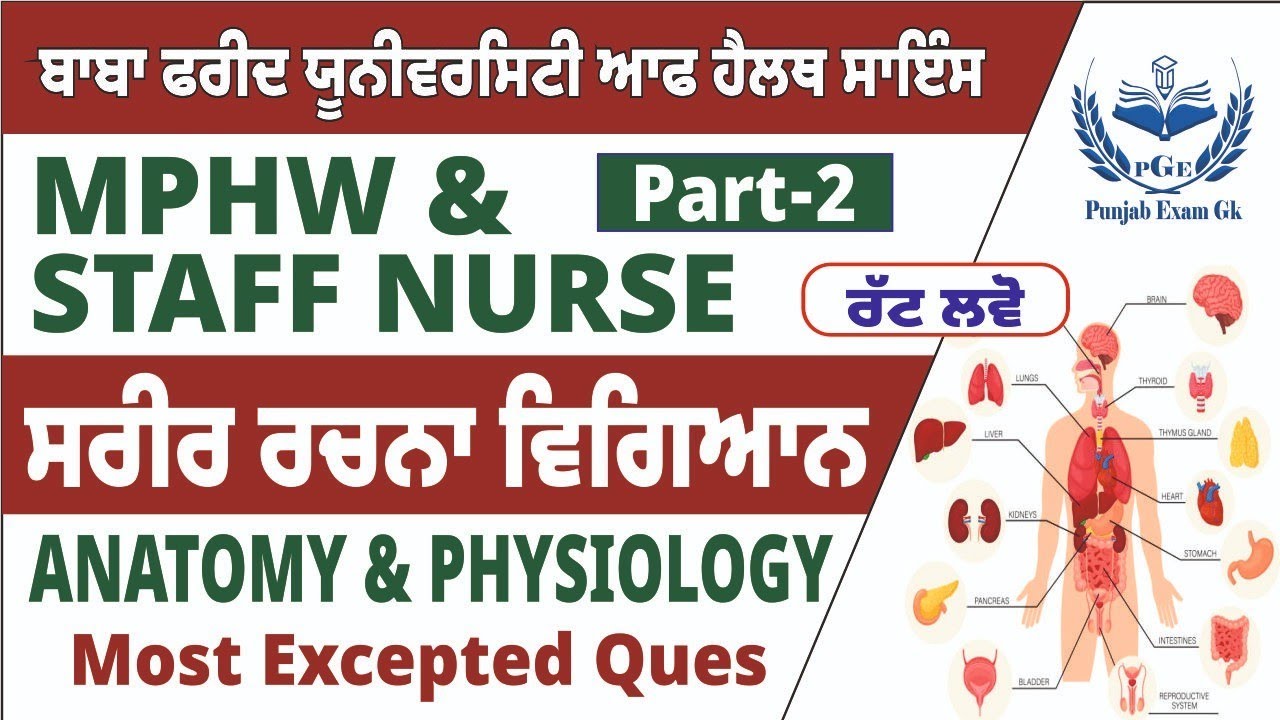 BFUHS | Anatomy and Physiology #2 | BFUHS exam preparation 2025 | Mphw and staff nurse preparation