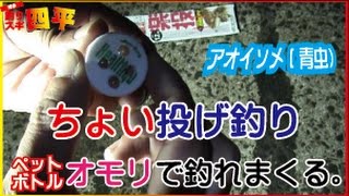 ペットボトルとアオイソメで爆釣(83話目)