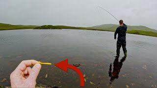 RIDICULOUS Fly is the ONLY thing Fish would Eat…