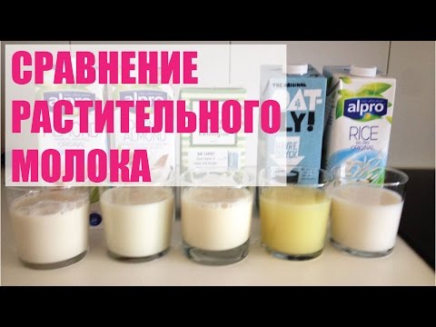 Сравнение растительного молока на вкус и вспенивание