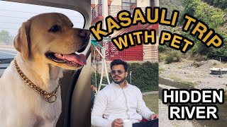 Delhi to Kasauli Road Trip with Pet Dog | Pet Friendly Hotel in Kasauli | Gambhar Bridge