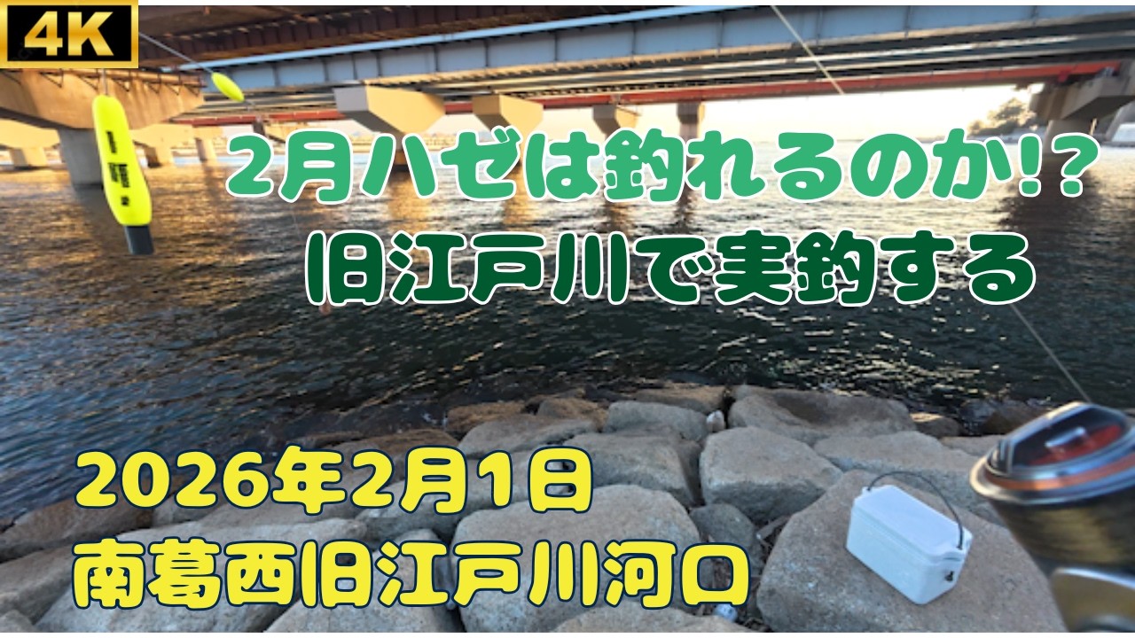 真冬の旧江戸川でハゼを釣る 東京都 南葛西 2026年2月1日 #ハゼ #釣り #穴釣り #fishing #旧江戸川