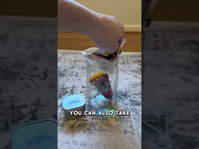Your cat's old toys still have life in them. They just need marinating!