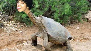Mitlar Getting Rapped