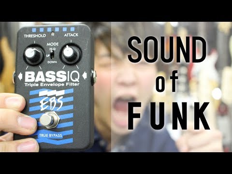 レビュー】EBS / BASS IQ【REVIEW】 - YouTube