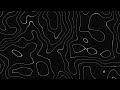 Abstract Black &amp; White Wave Pattern | Topographic Line Art | 8H 4K 60FPS Background