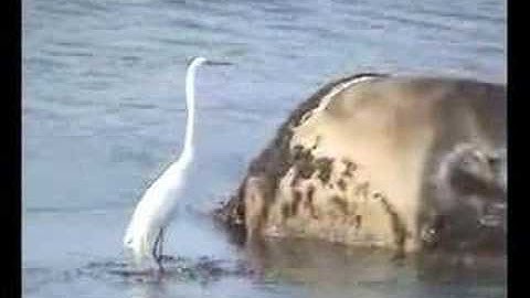 Block Island, Rhode Island-one of the The Last Great Places