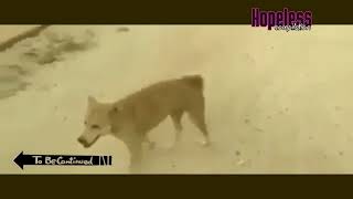 To Be Continued Meme Compilation